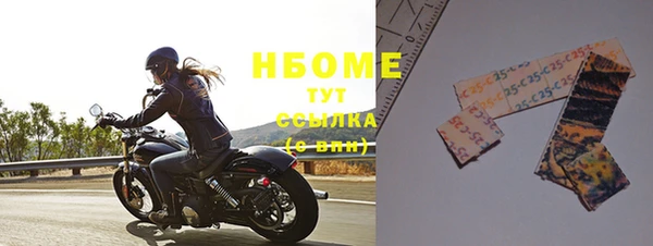 шишки Абаза