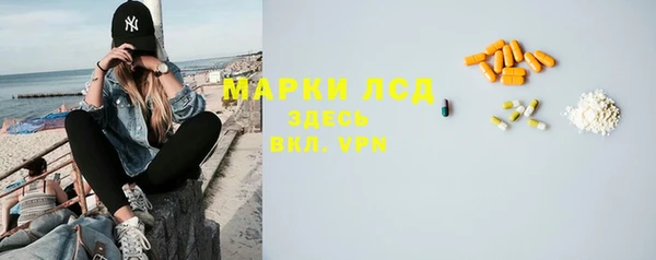 шишки Абаза