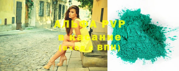 шишки Абаза