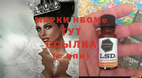 шишки Абаза