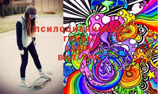 шишки Абаза