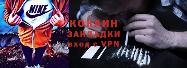 шишки Абаза