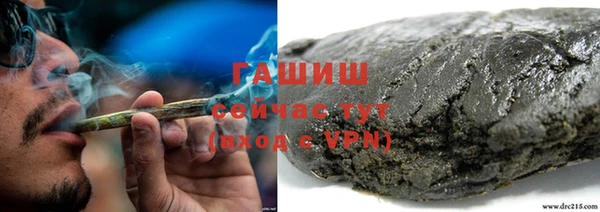 шишки Абаза
